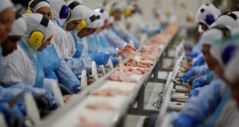 Brasil passa a exportar carne suína para o Peru.