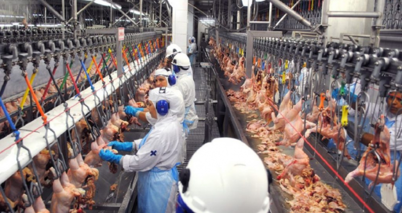 Carne suína e de frango registram queda nos preços em 2023.