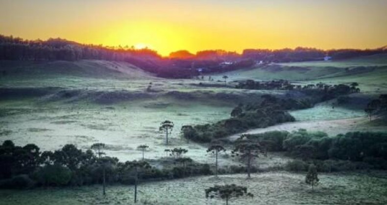 Em pleno verão, Santa Catarina registra primeira geada de 2023.