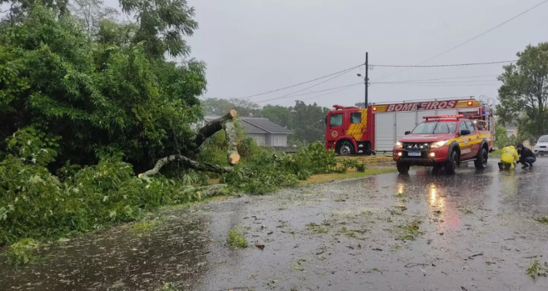 Vendaval derruba árvores e deixa casas destelhadas no Oeste de SC.