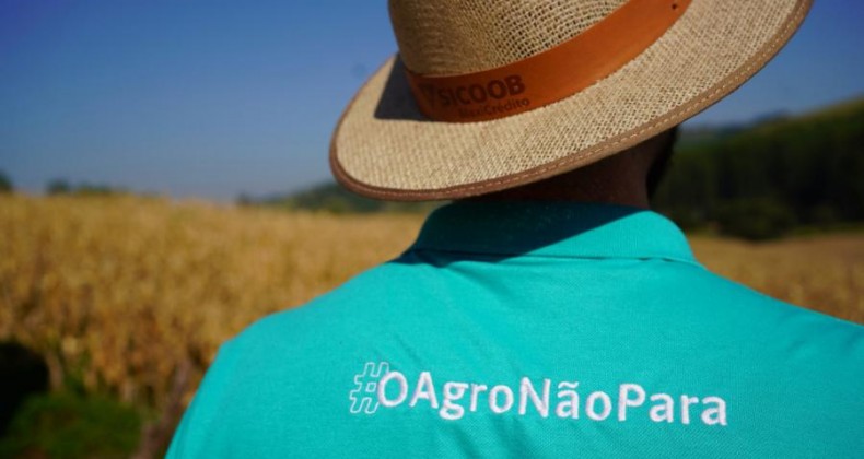 Safra recorde do Agronegócio no Brasil equivale ao PIB Argentino.
