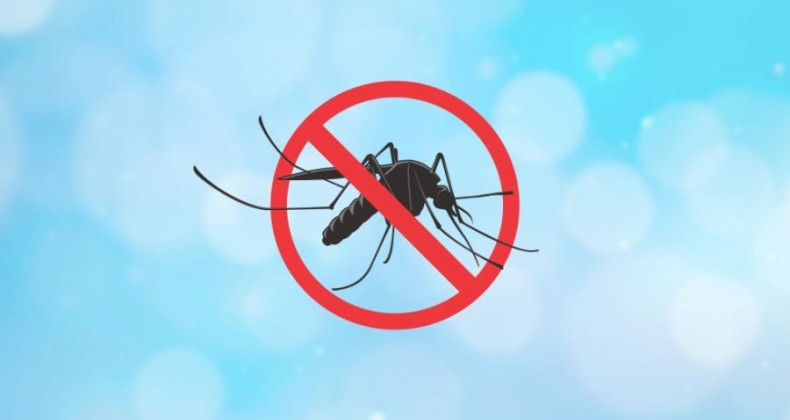 Quarto caso de Dengue é confirmado em Maravilha.