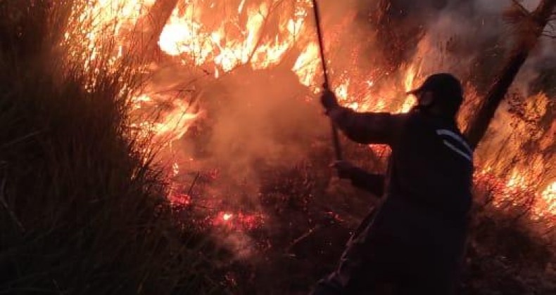 Incêndio na maior unidade de conservação de SC é extinto após 19 horas.