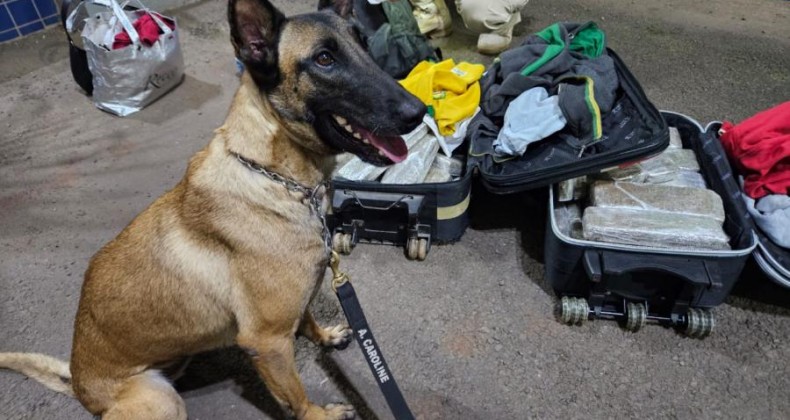 Traficantes com destino a Maravilha são presos pela PRF em Guaraciaba