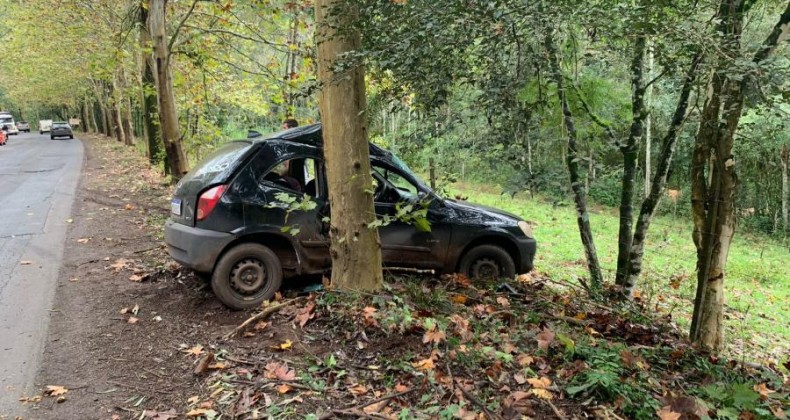 Carro sai da pista e choca em árvore na SC 160 em Modelo.