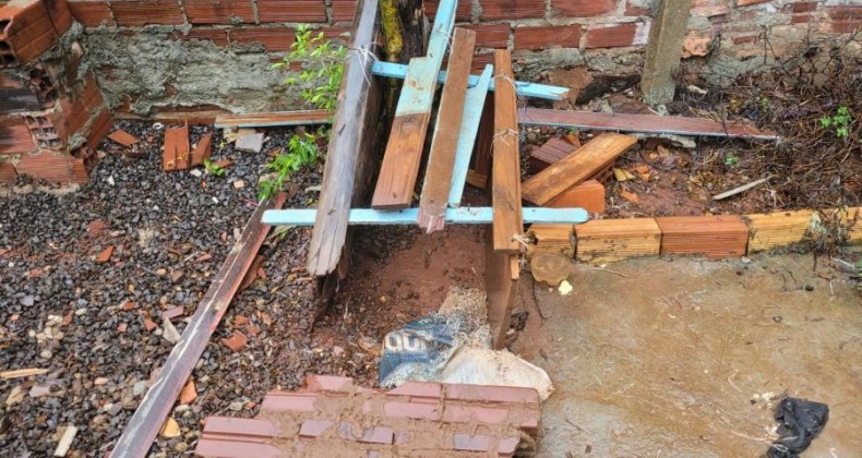 Homem é preso por maus-tratos a animal em Nova Erechim