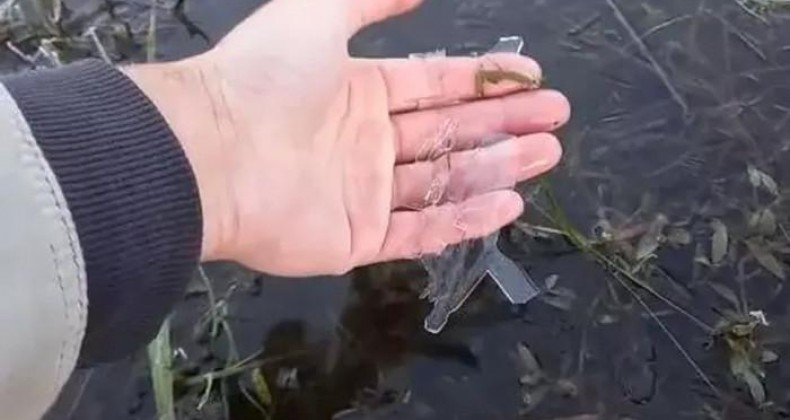 Lago congela após recorde de temperaturas negativas em SC