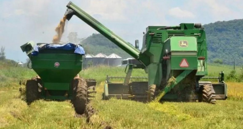 SC exporta quase o dobro de arroz em relação à 2022.