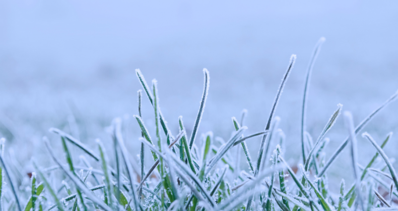 SC terá fim de semana ‘congelante’ com temperaturas abaixo de 0°C.
