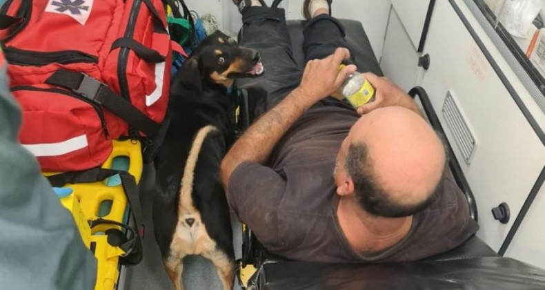 Bombeiros distraem cachorro para dono receber socorro.