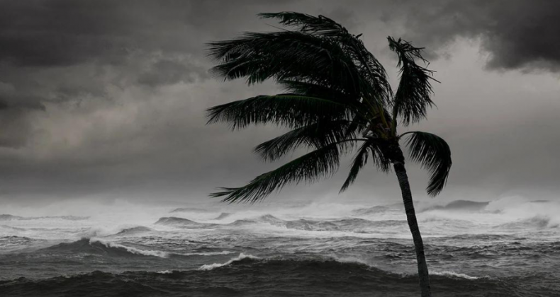 Estados Unidos confirmam início do El Niño; entenda os efeitos em SC