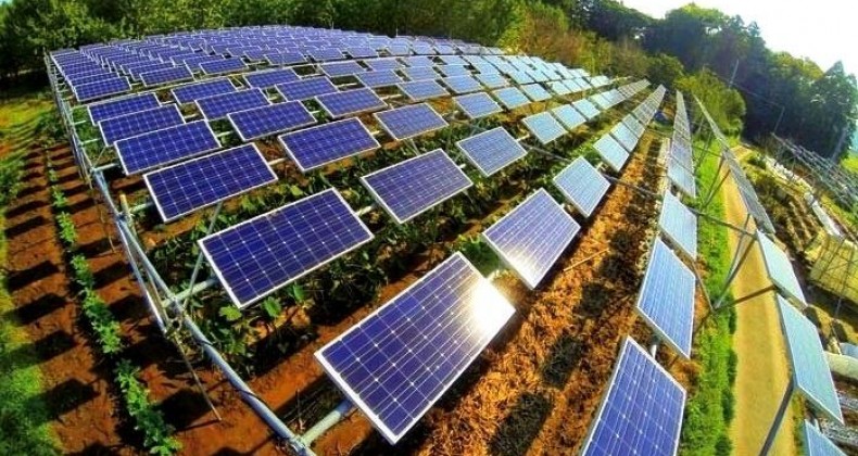 Santa Catarina é o 5° estado que mais gera energia solar
