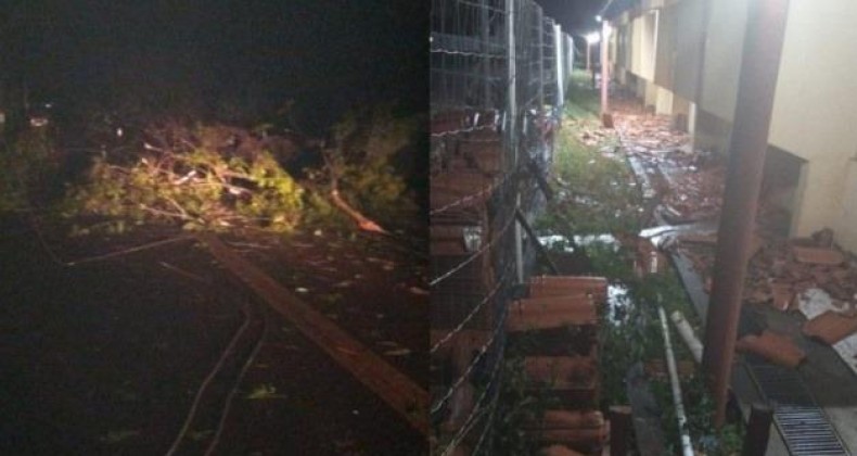 Tempestade destelha casas, derruba árvores e postes em Saudades.