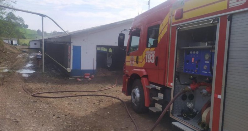 Incêndio em aviário mata cerca de mil aves no Extremo-Oeste.