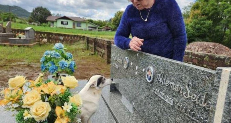 Lealdade - Cachorrinho vai a túmulo do dono todos os dias.