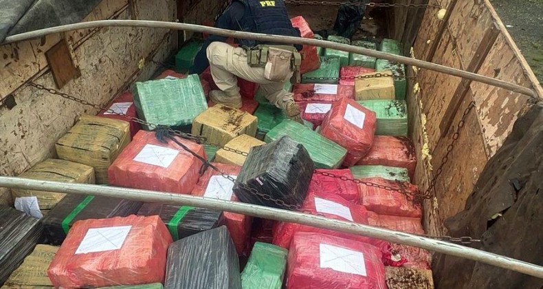 Maior apreensão de maconha do ano é feita em SC.