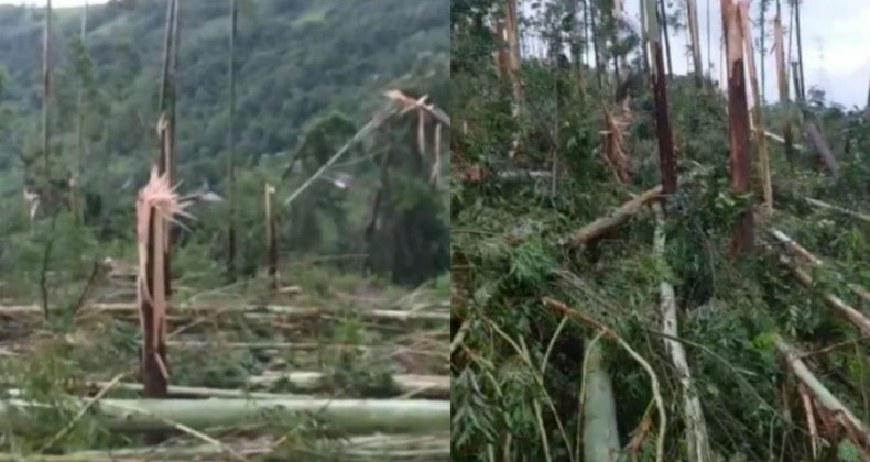 Defesa Civil confirma passagem de tornado durante a madrugada em Itá.