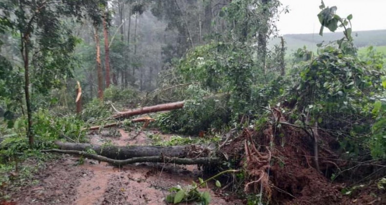 Formação de tornado é confirmado no município de Cunha Porã.