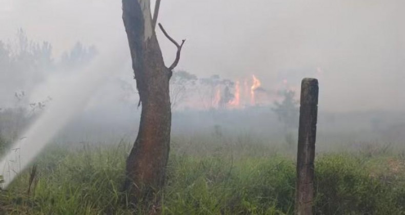 Incêndio atinge 200 hectares na maior unidade de conservação de SC.