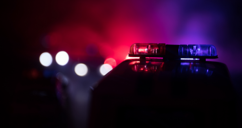 Polícia Civil prende homem por furto de sacos de gelo em Pinhalzinho