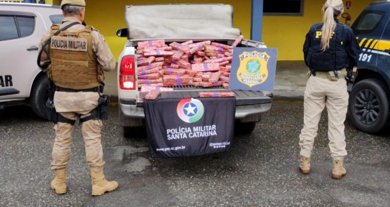 Polícia apreende mais de 290 quilos de maconha em caminhonete.