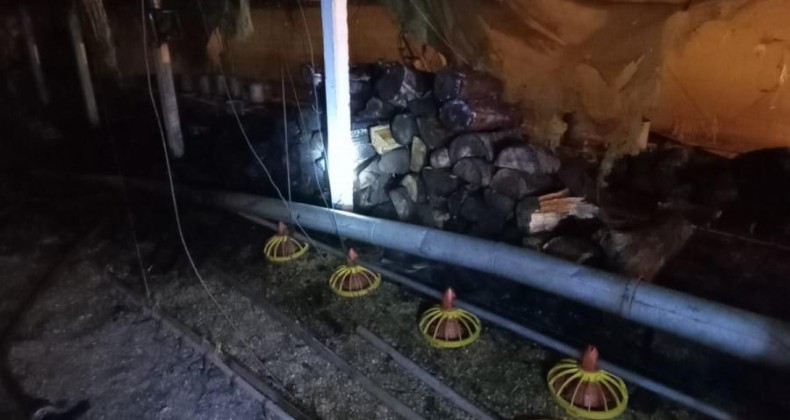 Incêndio em aviário mobiliza Corpo de Bombeiros no Oeste