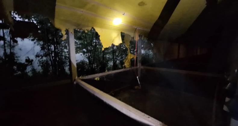 Raio causa incêndio em chiqueiro no interior de Modelo