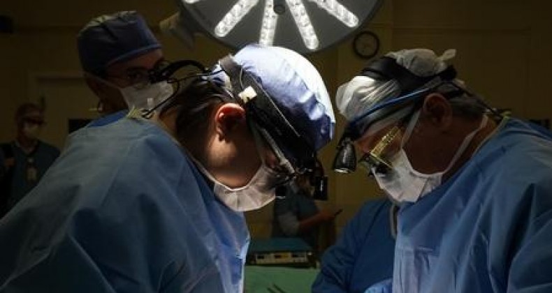 SC possui a maior taxa de doação de órgãos em 2024