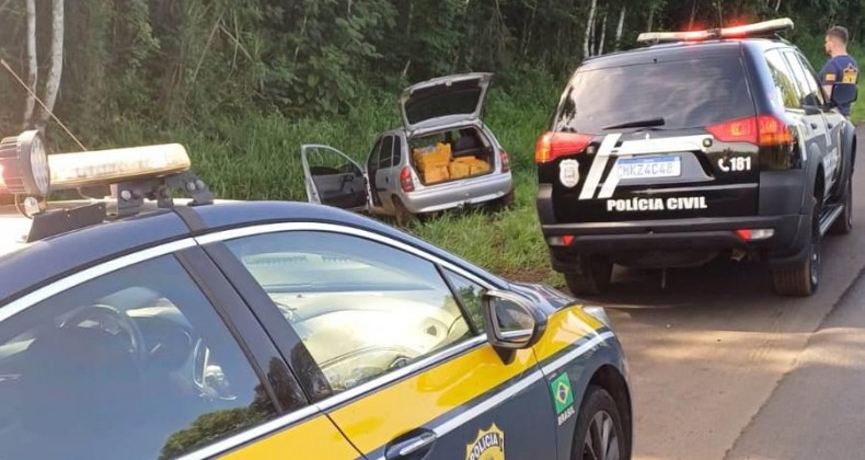 Mais de 200 kg de maconha são apreendidos em flagrantes em Maravilha
