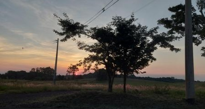Sol volta a aparecer e temperaturas se aproximam de 30ºC em SC