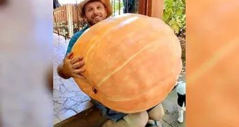 Produtor colhe abóbora com 76 kg no Meio-Oeste