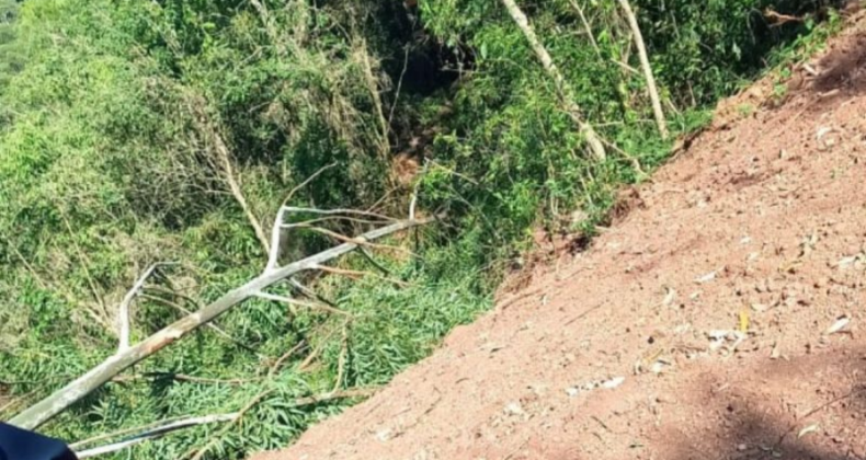 Trabalhador atingido por árvore na cabeça morre em SMOeste