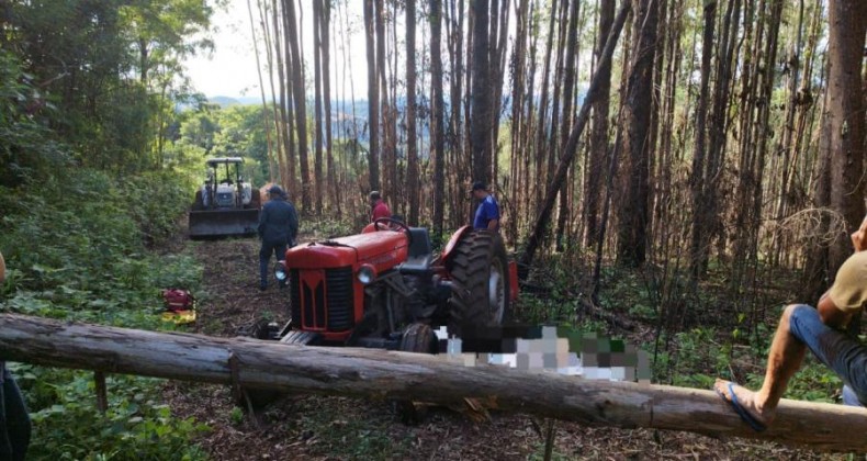 Queda de eucalipto mata idoso no Meio-Oeste