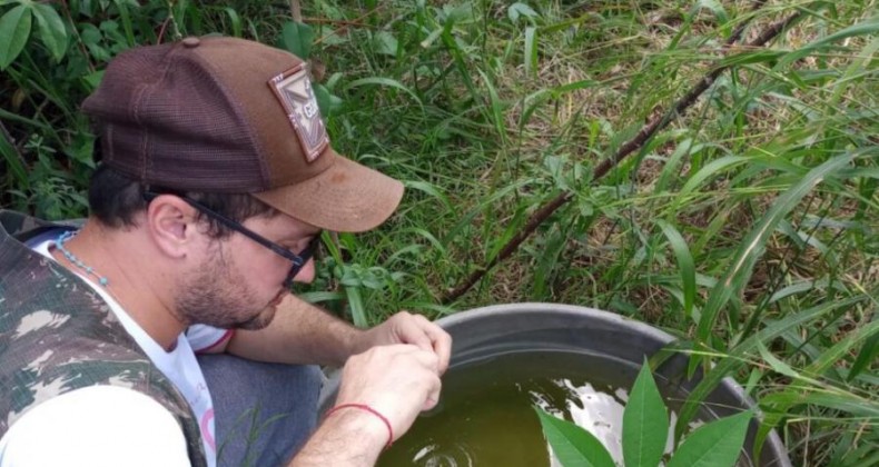 Setor de Endemias de Iraceminha alerta para risco de epidemia de dengue