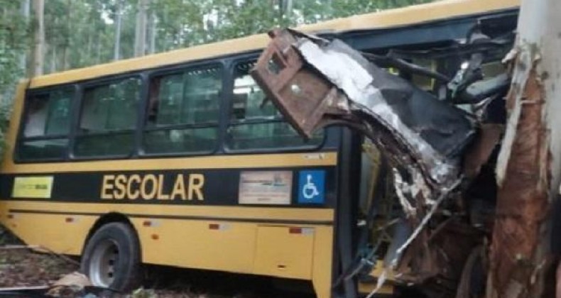 Ônibus fica destruído em batida contra eucalipto