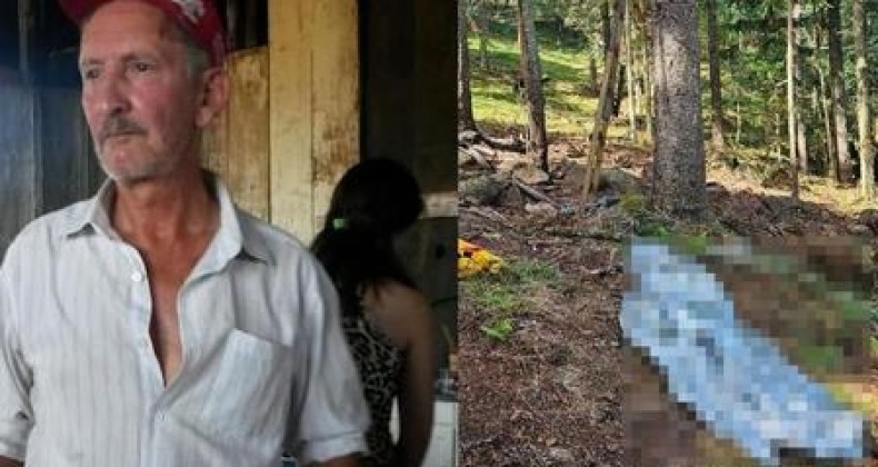 Idoso morre ao sofrer queda de araucária enquanto colhia pinhão
