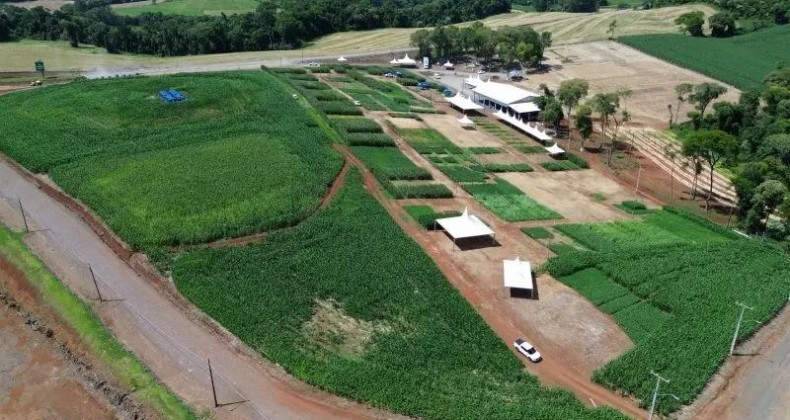 Ceditec Auriverde 2025 inicia em Maravilha