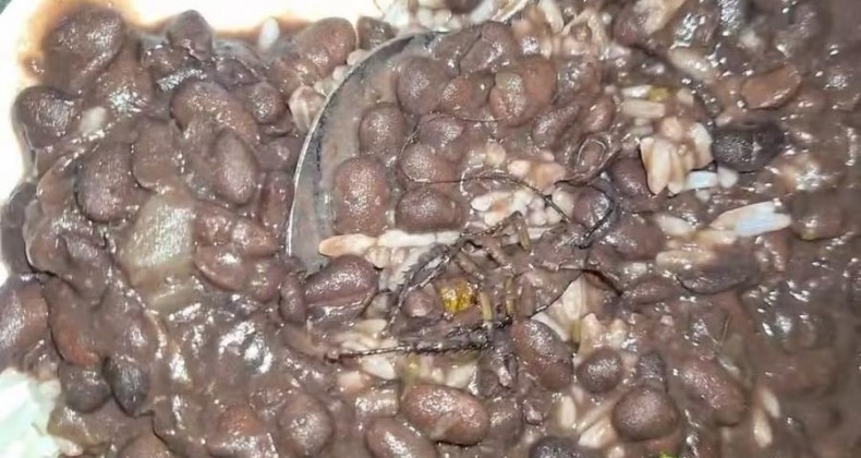 Estudante encontra barata em refeição de restaurante universitário em SC